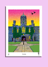 Load image into Gallery viewer, AULA MAXIMA