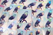 Load image into Gallery viewer, Stool Pigeon - Holographic Sticker
