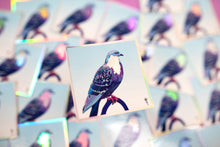 Load image into Gallery viewer, Stool Pigeon - Holographic Sticker