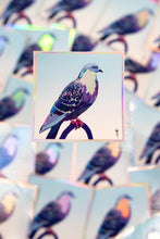 Load image into Gallery viewer, Stool Pigeon - Holographic Sticker