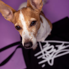 Load image into Gallery viewer, Sketchy Moon Screen Printed Tote Bag