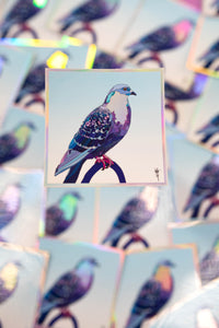 Stool Pigeon - Holographic Sticker
